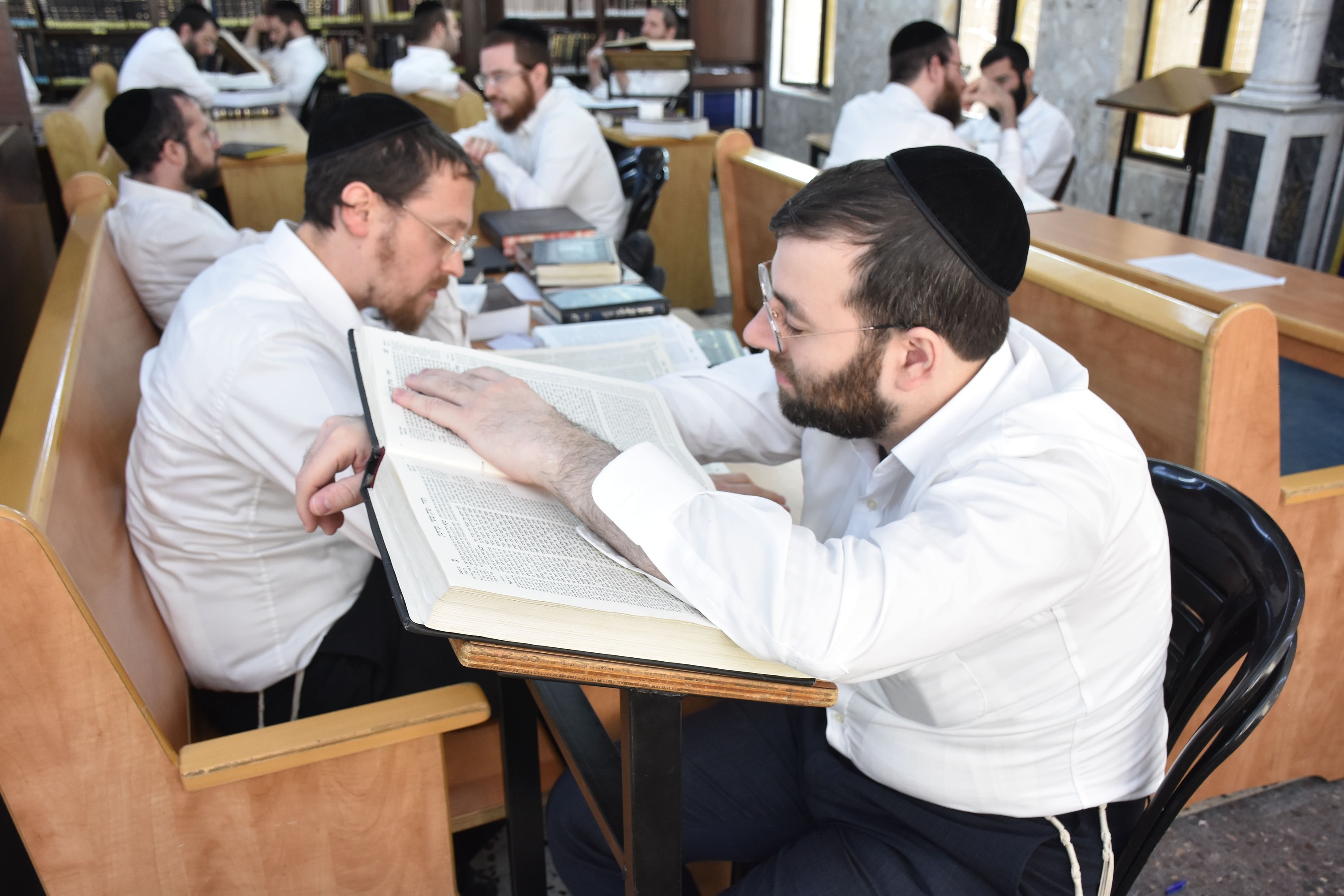 חברותא בכולל